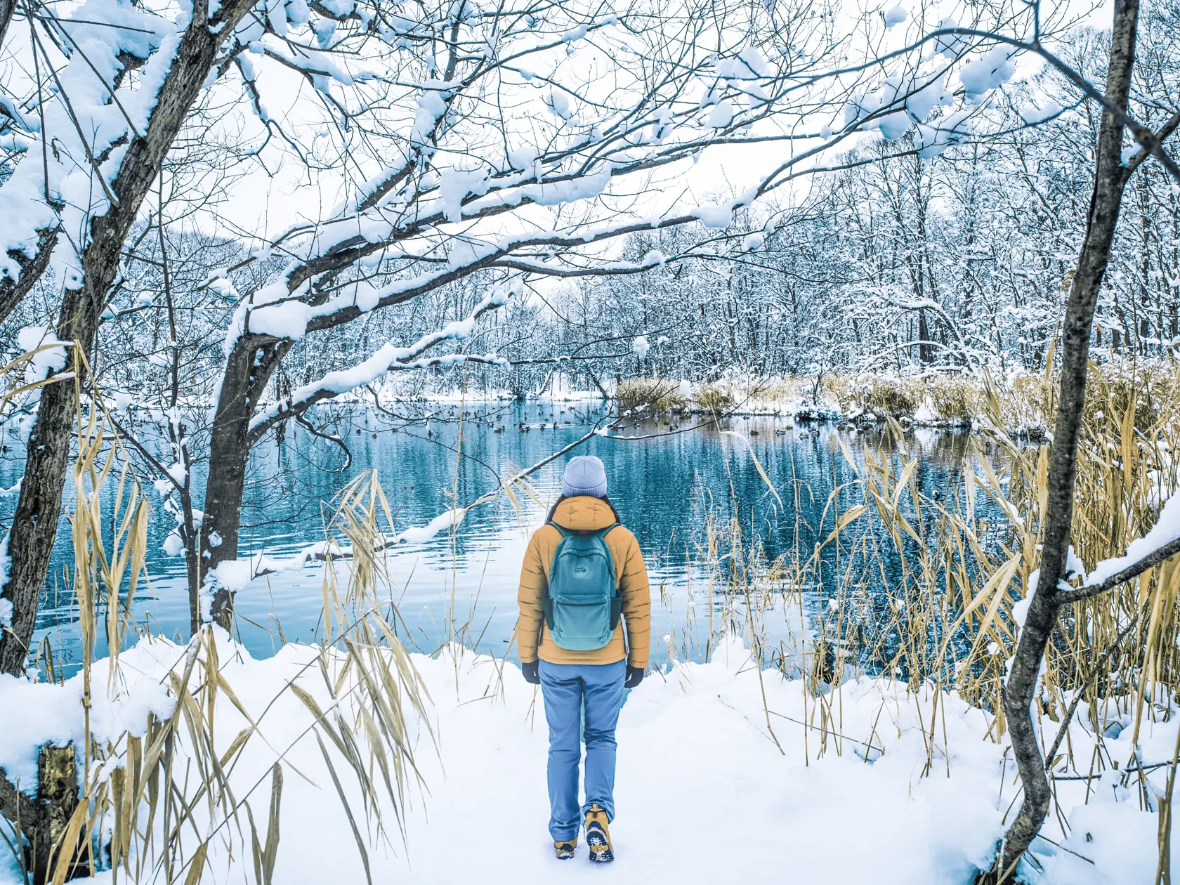 雪に埋もれた空知川周辺の冬の岸辺。裸木の下、雪の上に人がひとり立っている。