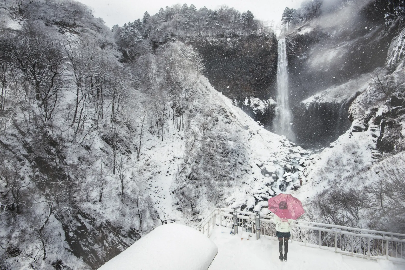 雪に覆われた華厳の滝。観瀑台の手すりの前で、桃色の傘をさした人物が滝を見上げている