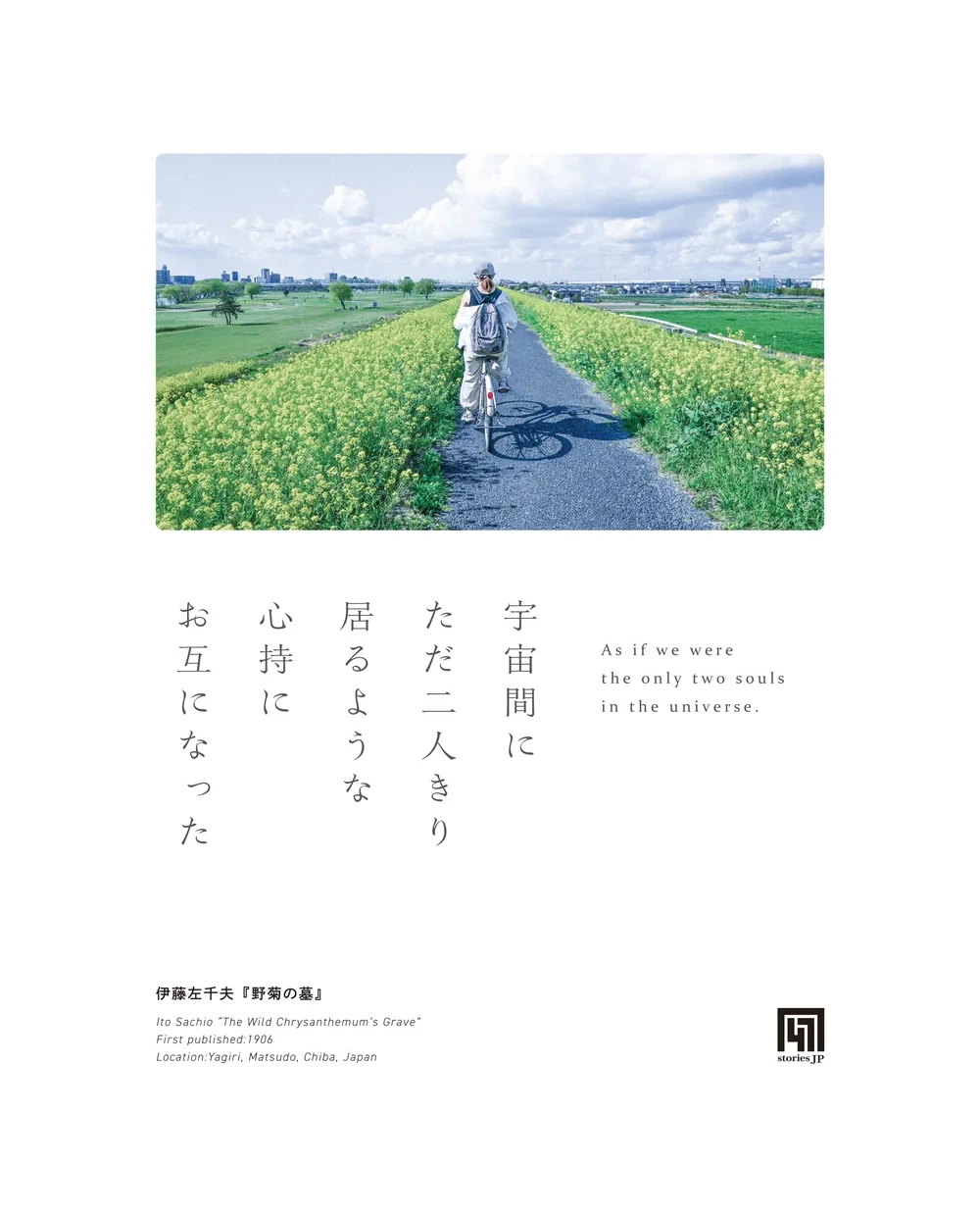 『野菊の墓』グラフィック原画。花の咲く矢切の土手道を自転車でゆく巡礼者の実写の下に「宇宙間にただ二人きり居るような心持にお互になった」の一節を縦書きで添え、伊藤左千夫『野菊の墓』一九〇六年と記している